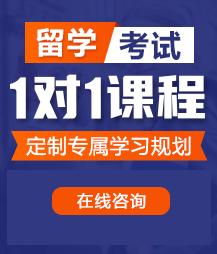 激情操逼视频网站留学考试一对一精品课